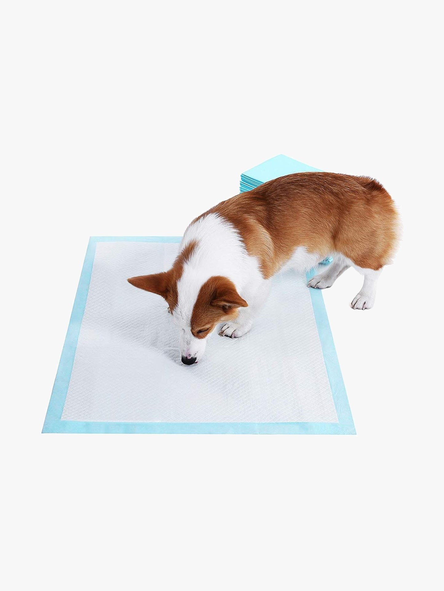 Wegwerp Puppy Trainingspads Superabsorberend - Sneldrogende Toplaag - Lekvrij